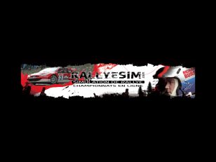 rallyesim logo